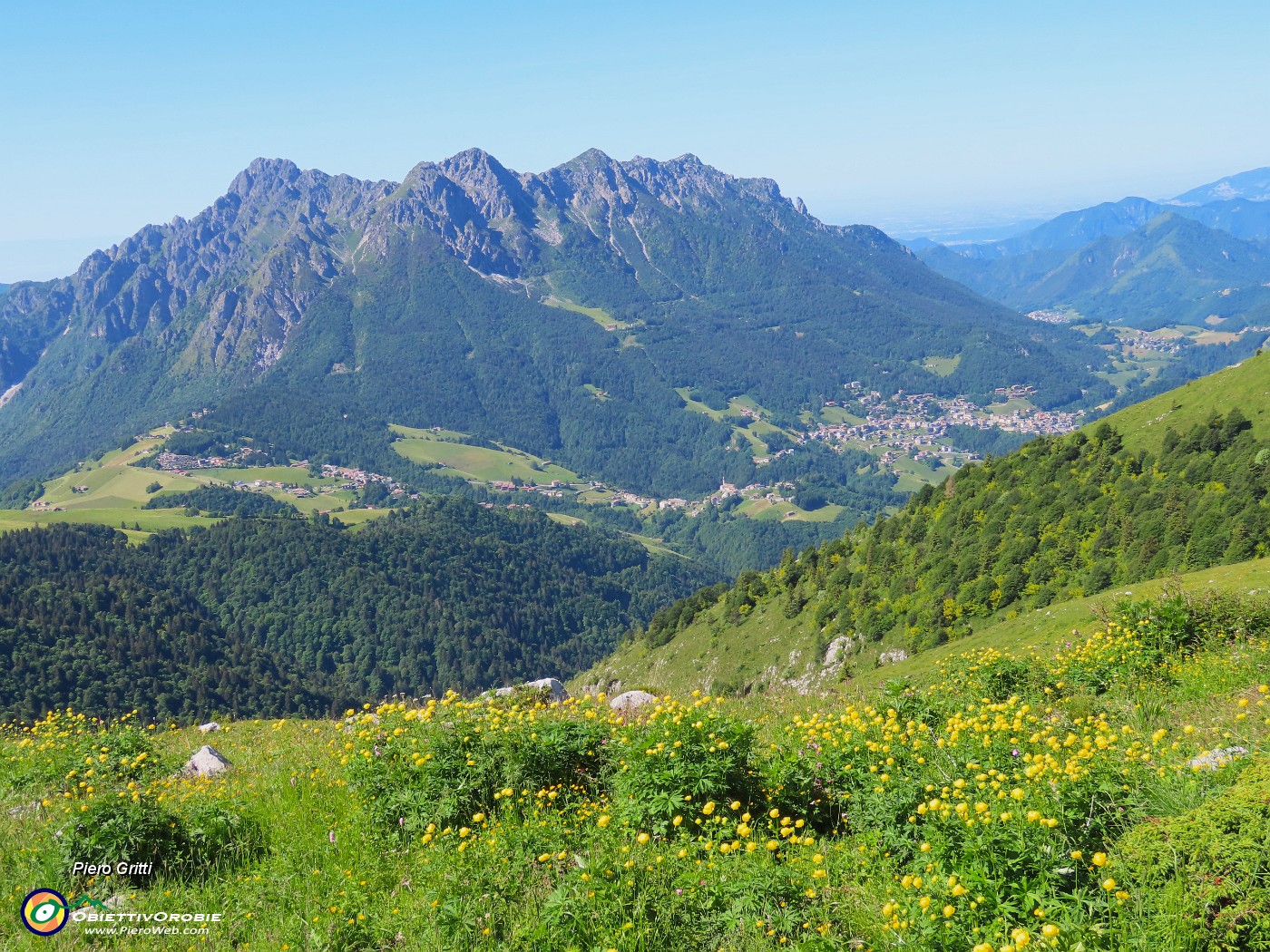 28 Pratoni fioriti di Trollius europaeus (Botton d'oro) con vista in Alben.JPG